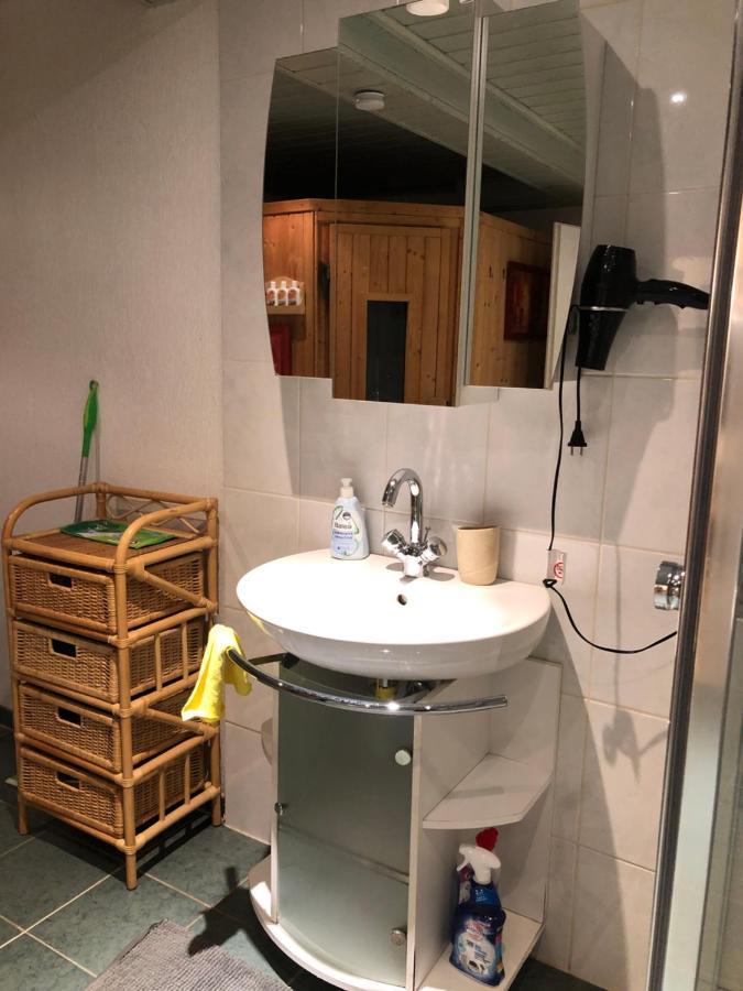 Ferienwohnung Nationalpark Eifel Nideggen Sauna ภายนอก รูปภาพ
